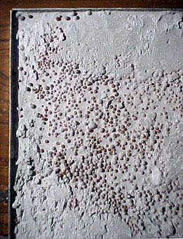 Concrete with clay balls